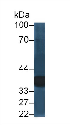 12516