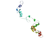 Zinc Finger Protein 420 (ZNF420)