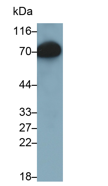 30715