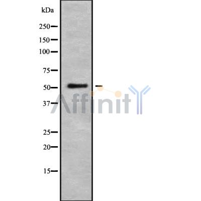 Валидация Affinity DF8900 - 21014