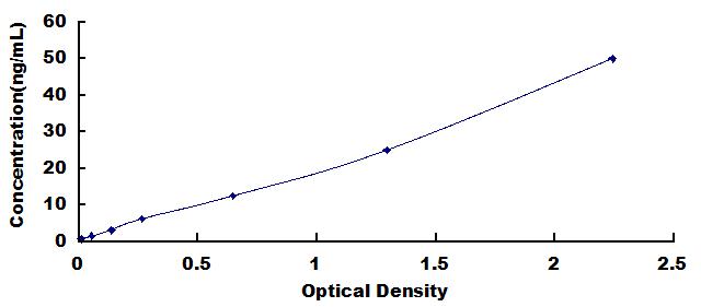 62046