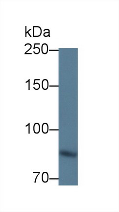 8665