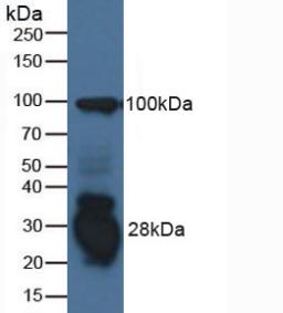 6137