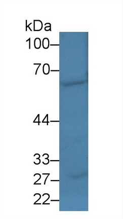 13942