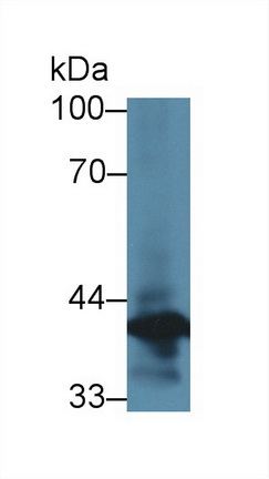 9143