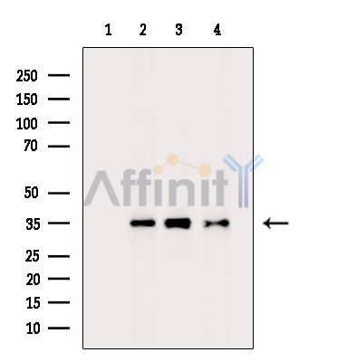 Валидация Affinity DF7397 - 19130