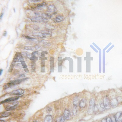 Валидация Affinity AF6424 - 3730