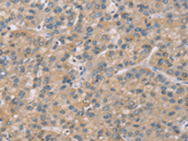 Валидация Elabscience E-AB-53227
