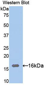 38563