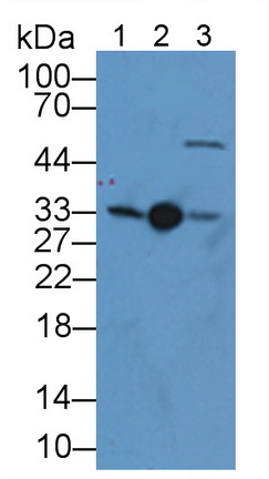 11941