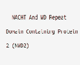 NACHT And WD Repeat Domain Containing Protein 2 (NWD2)