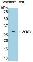 48669
