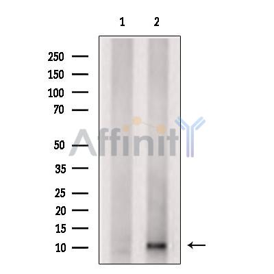 Валидация Affinity DF9153 - 21505