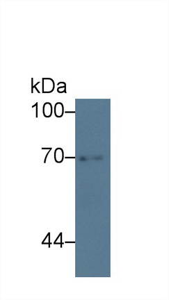 14280