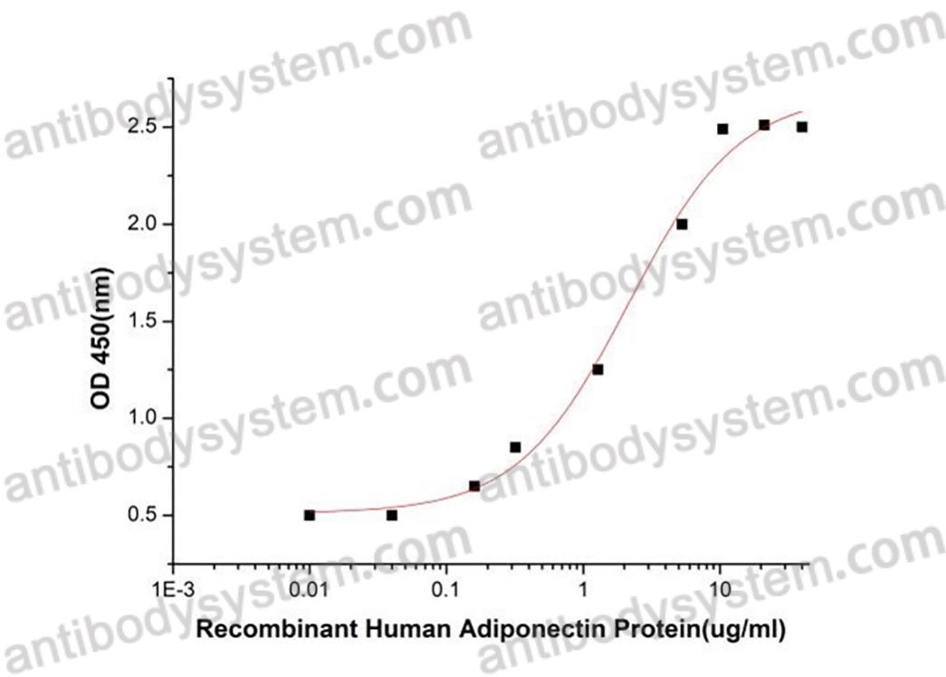 Валидация активности AntibodySystem AHH22001