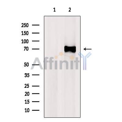 Валидация Affinity DF7453 - 19211