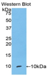 39882