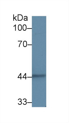 9713