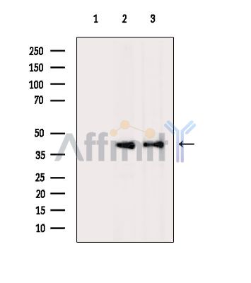 Валидация Affinity DF15810 - 12300