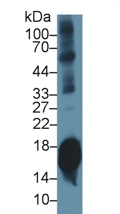 10274
