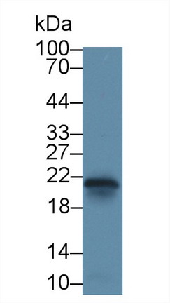 8380