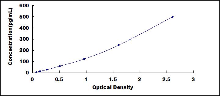 62405