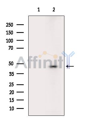 Валидация Affinity DF6670 - 18155