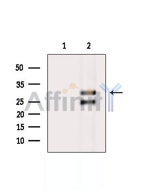 Валидация Affinity DF14610 - 10628