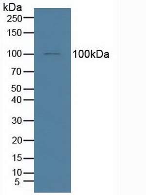 4999