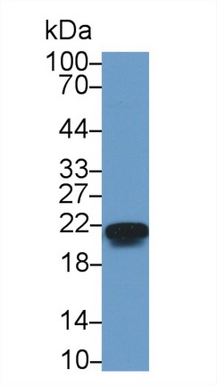 13350