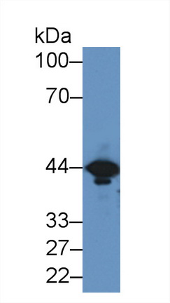 8358