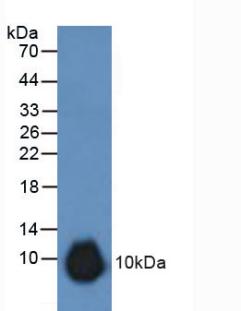6153