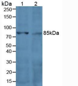 5653
