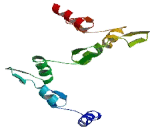 Zinc Finger Protein 484 (ZNF484)