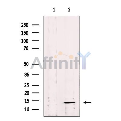 Валидация Affinity DF12096 - 6206