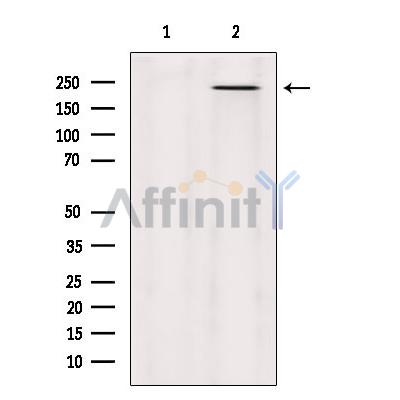 Валидация Affinity DF9653 - 22400