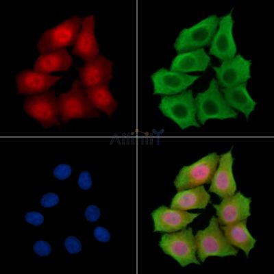 Валидация Affinity DF14265 - 10125