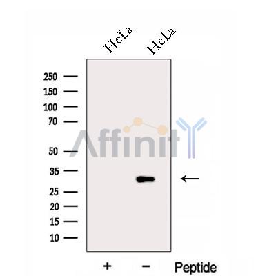 Валидация Affinity DF13000 - 7785