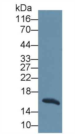28322