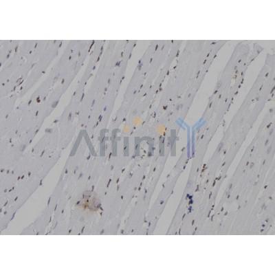Валидация Affinity DF7077 - 18719