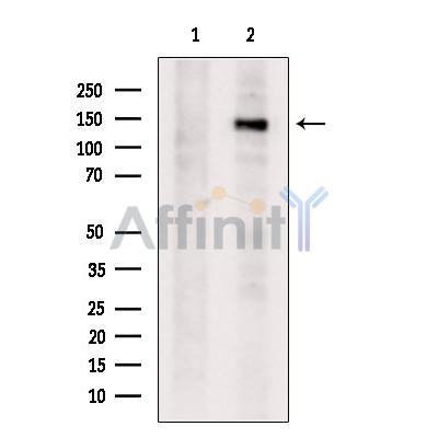 Валидация Affinity DF13245 - 8305
