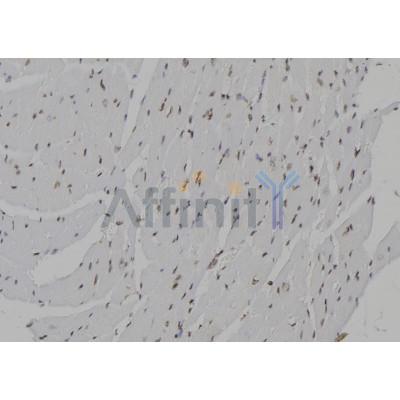 Валидация Affinity DF2315 - 12885