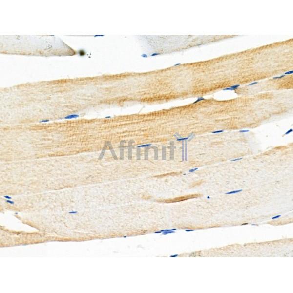Валидация Affinity DF6430 - 17805