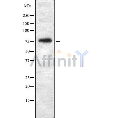 Валидация Affinity DF8426 - 20302