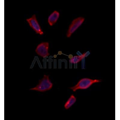 Валидация Affinity DF10291 - 5903