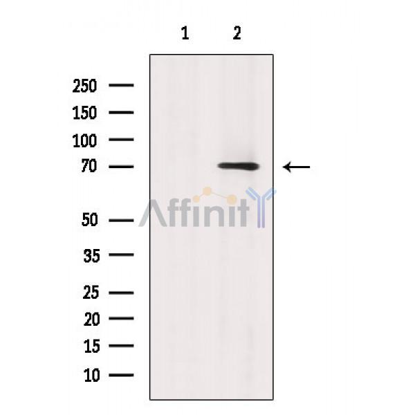Валидация Affinity AF6734 - 3986