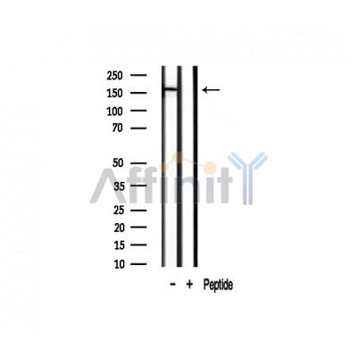 Валидация Affinity AF7949 - 4704