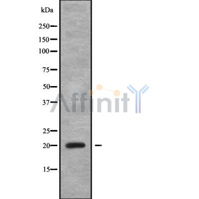 Валидация Affinity DF9309 - 21774