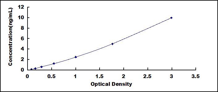 58807