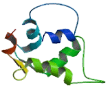 Protein Phosphatase 2, Regulatory Subunit B"" Beta (PPP2R3b)